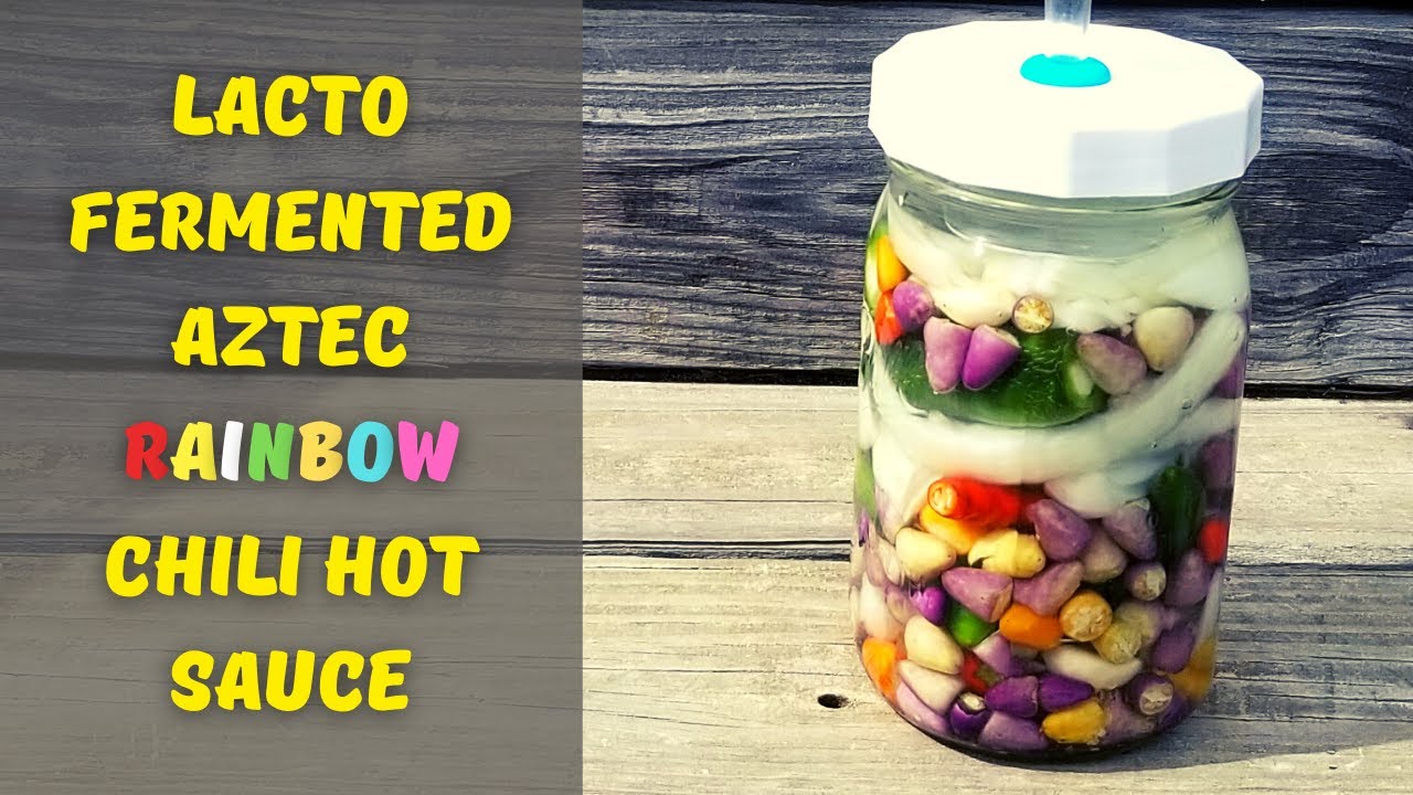 Lacto Fermented Aztec Rainbow Chili Hot Sauce ~~ Easy Recipe!!