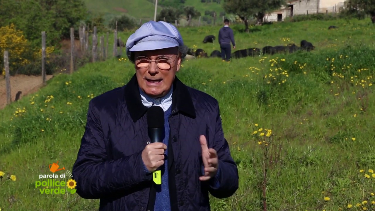 Suino Nero di Calabria - San Vincenzo - Rete4 