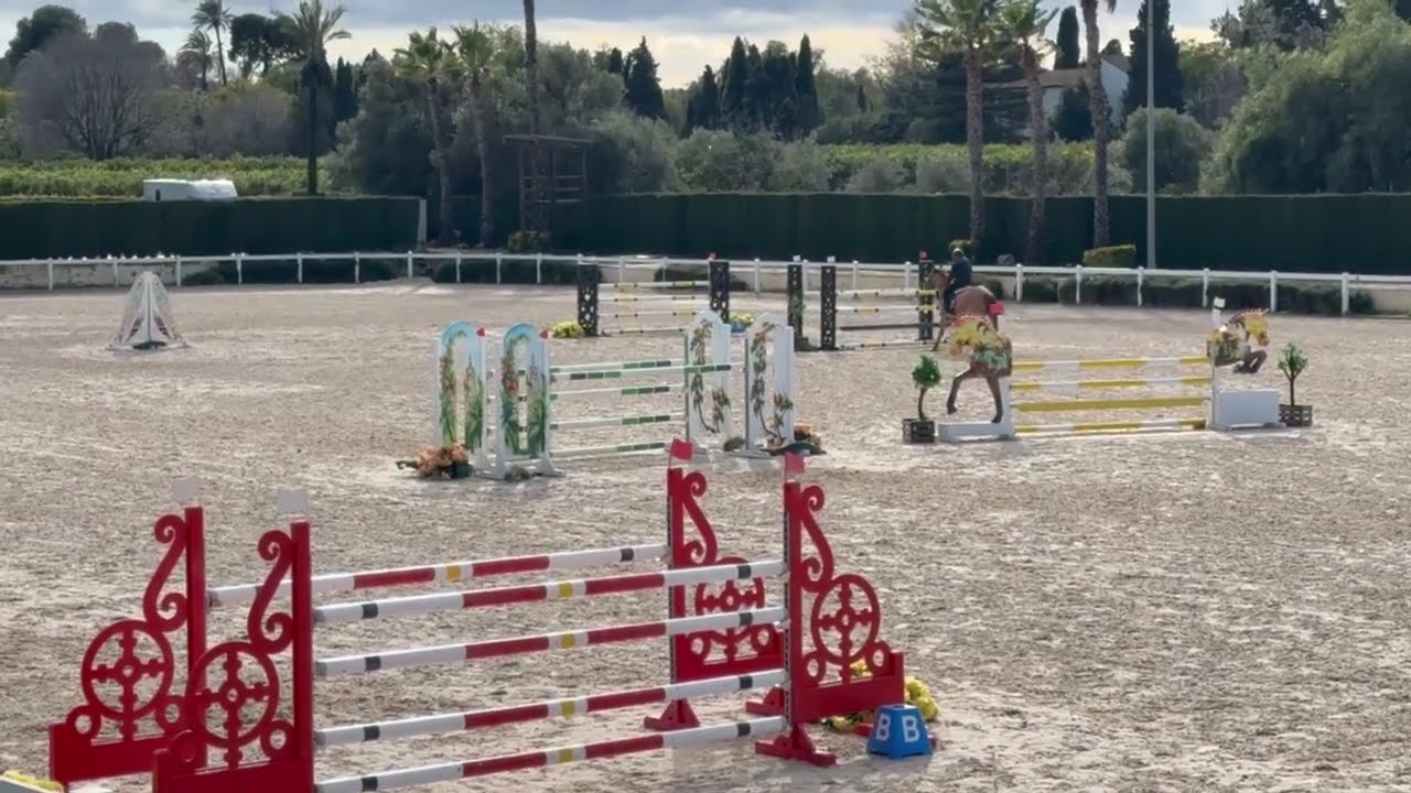 CORENTHA VH PEGGERSHOF Z - VALENCIA 2026 W1