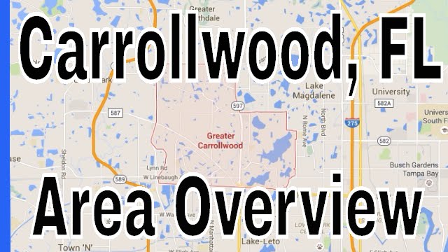 Overview of Carrollwood FL - Lance Mohr in Tampa, FL
