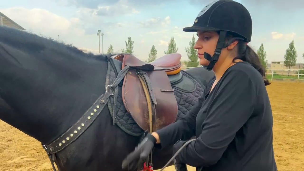 بعد از ۳ سال دوباره سوار اسب شدم! | تجربه‌ی من توی باشگاه سوارکاری 🐎😁