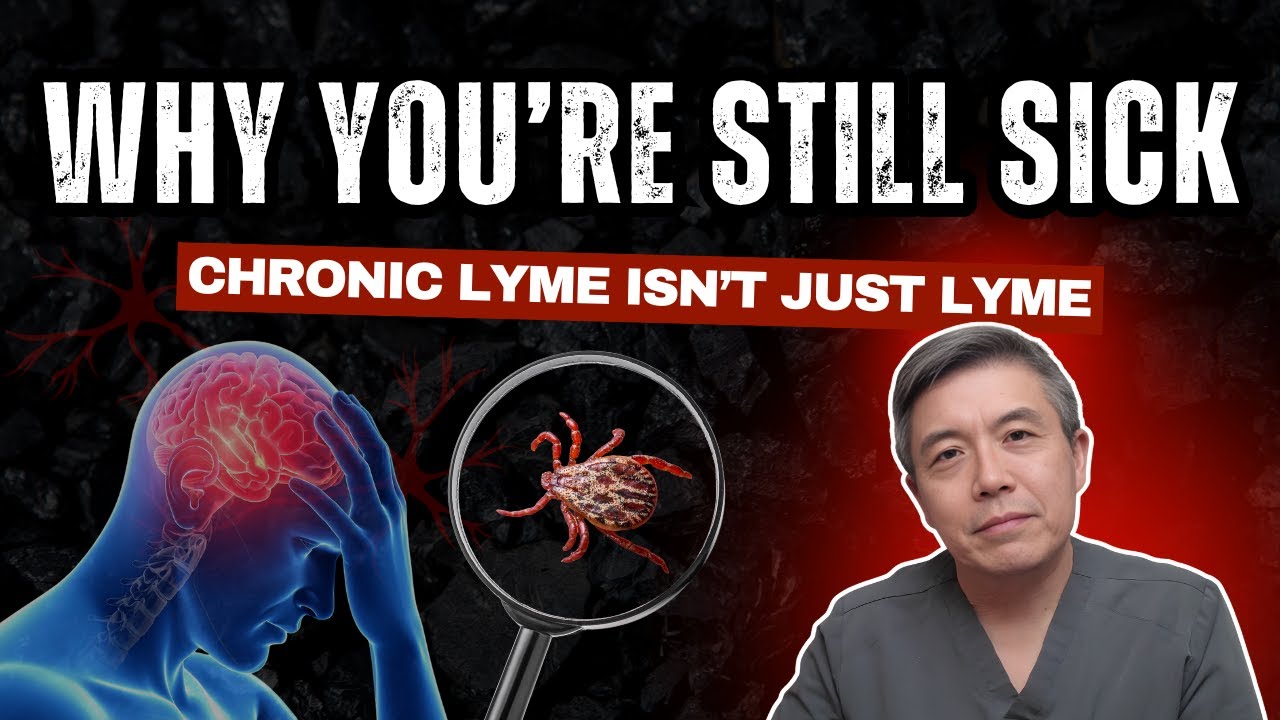 The Real Problem With Chronic Lyme Disease (And Why Antibiotics Often Fail)