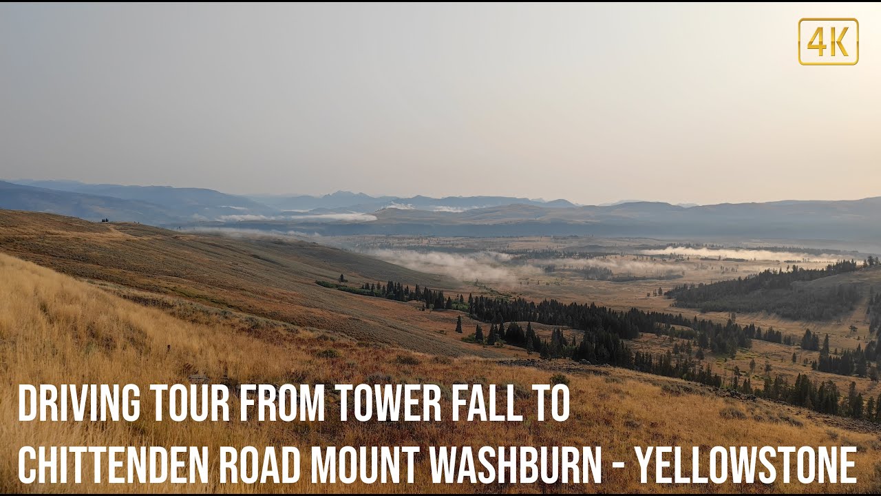Driving Tour from Tower Fall to Chittenden Road Mount Washburn - Yellowstone National Park | 4K
