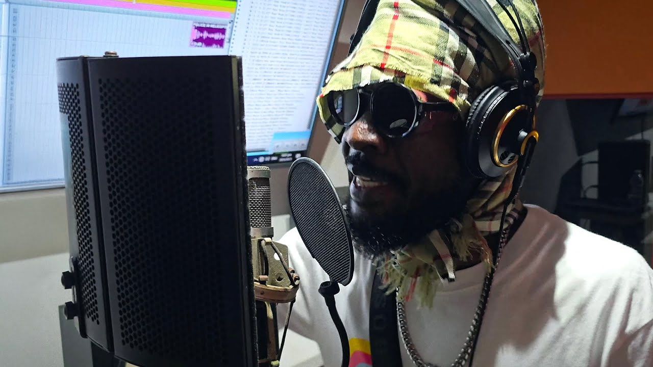 Ninja Ford - Dubplate - Little Lion Sound - Da Song Ya