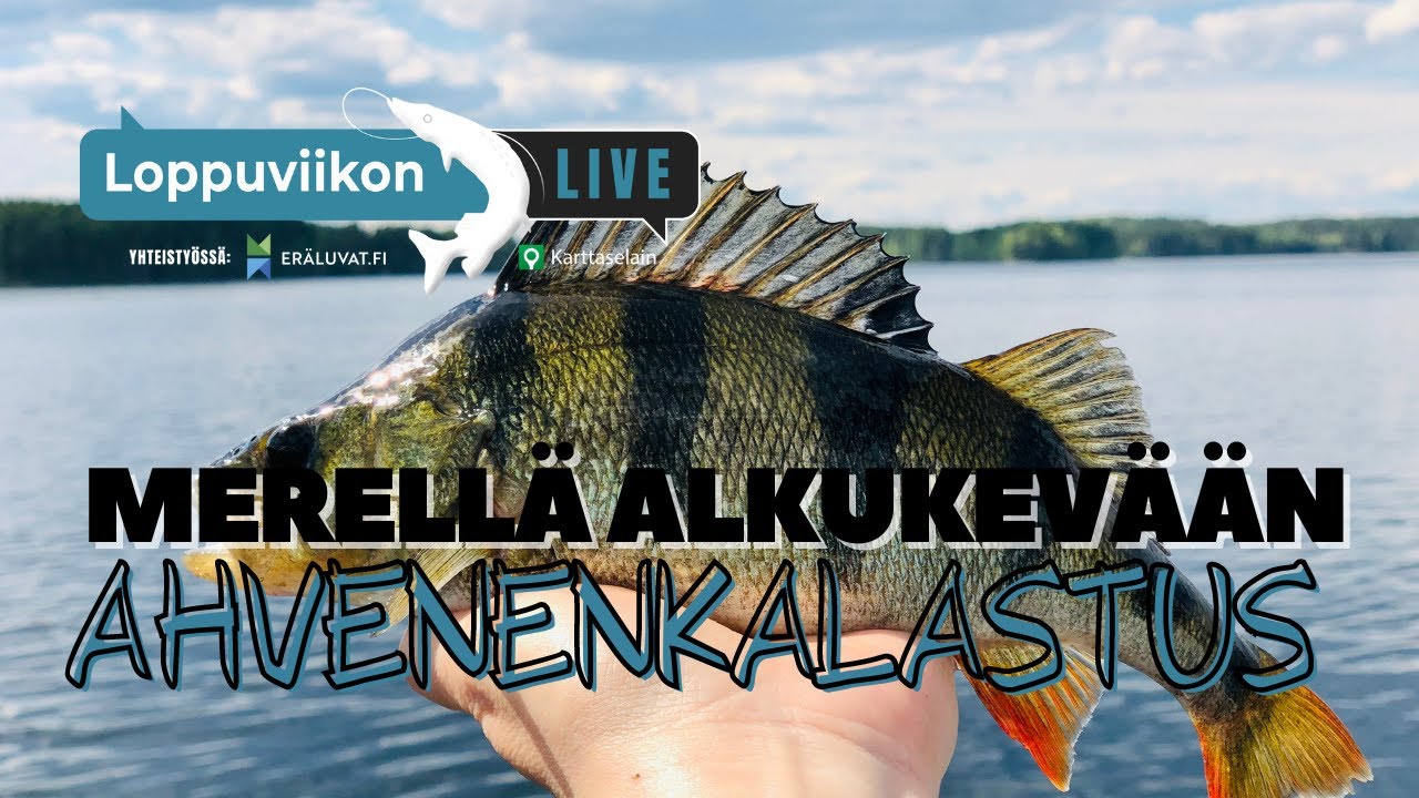 Alkukevään ahvenenkalastus merellä | Loppuviikon LivE