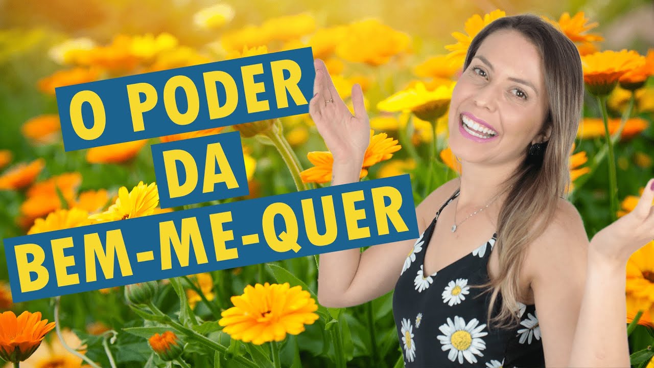 CALÊNDULA: A FLOR MEDICINAL | Benefícios e dicas de cultivo
