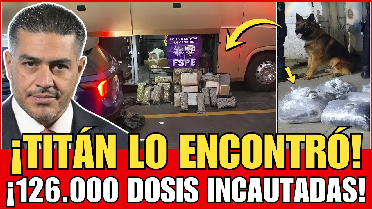 ¡TITÁN NO FALLA! | EL PERRO QUE LLEVÓ A HARFUCH A LAS 126 MIL DOSIS