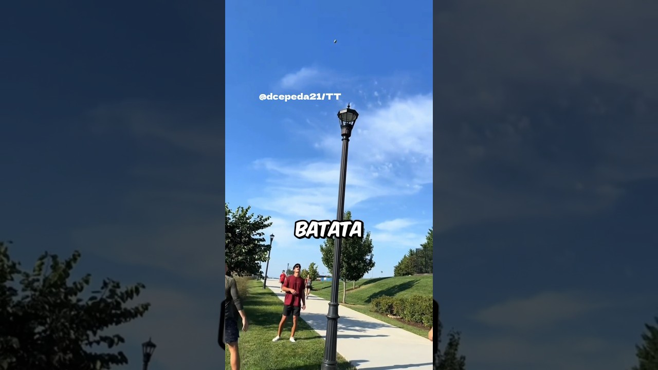 ELES TENTARAM PRENDER UMA BATATA EM UM POSTE🤣🥔