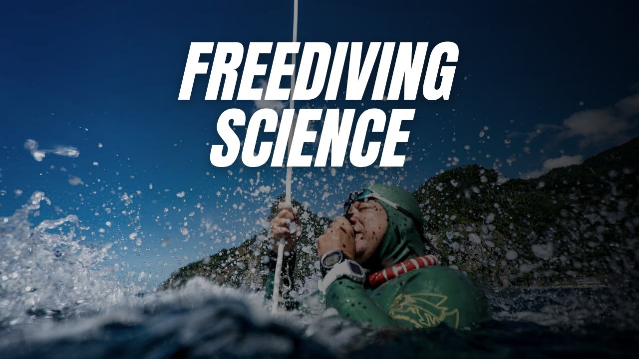 EVERY Freediver Should Know About BLACK OUT | Science with Jani Valdivia