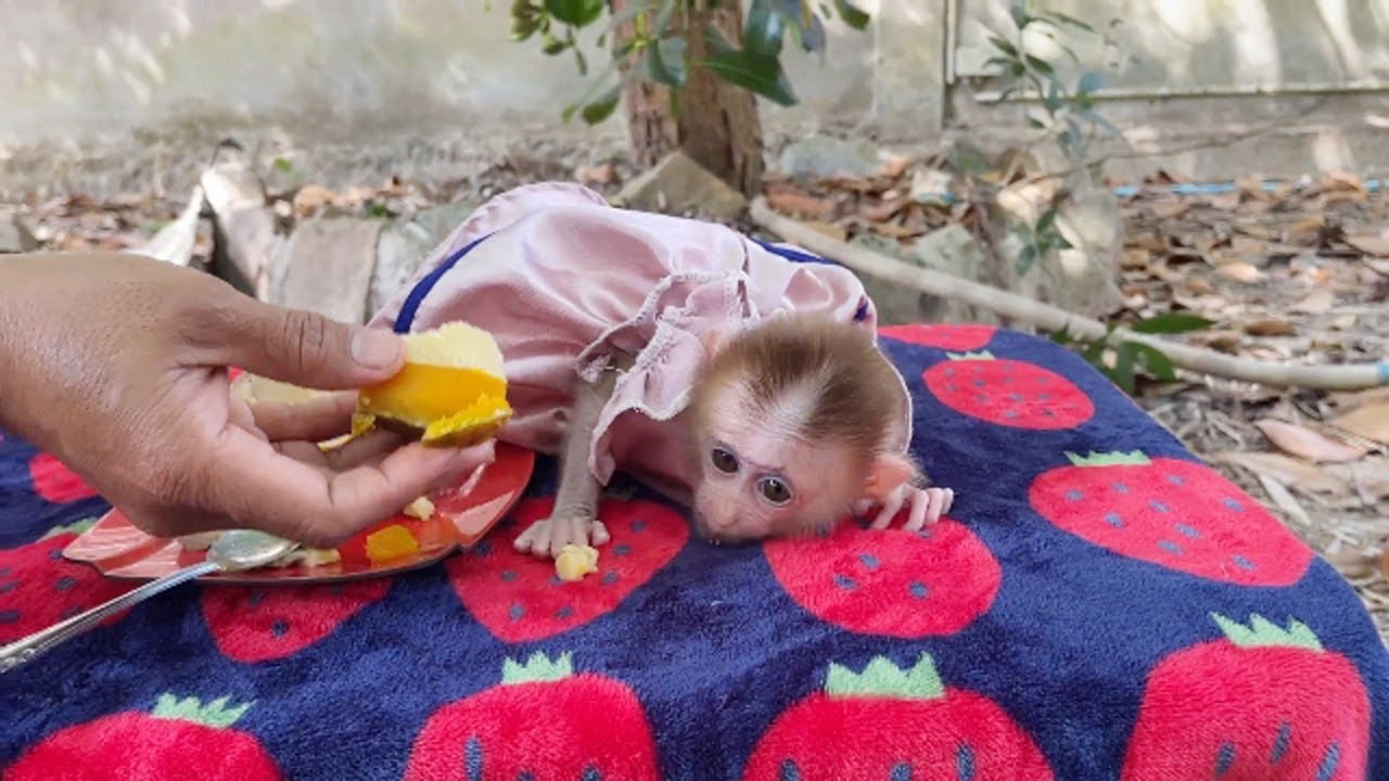 Poor Selena Sleep Sad Ignore To Eating Food Today