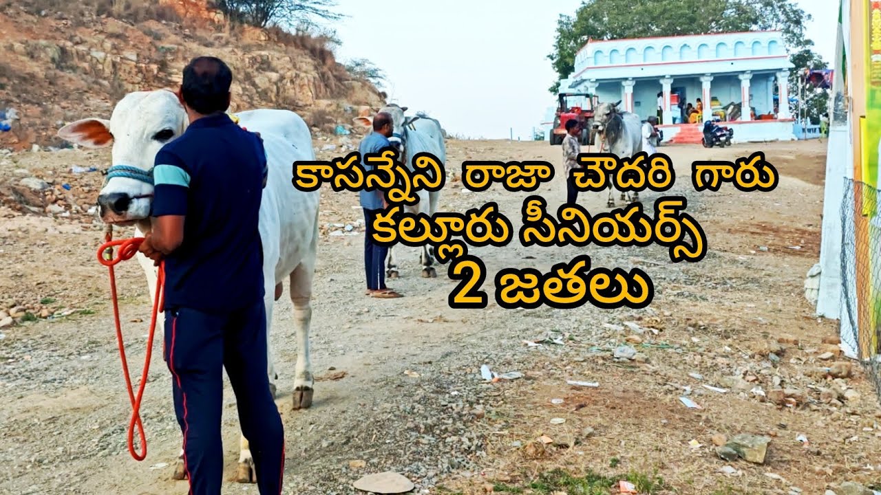 కల్లూరు సీనియర్స్ విభాగానికి కాసన్నేని రాజా చౌదరి గారు 🦁🦁🦁🦁