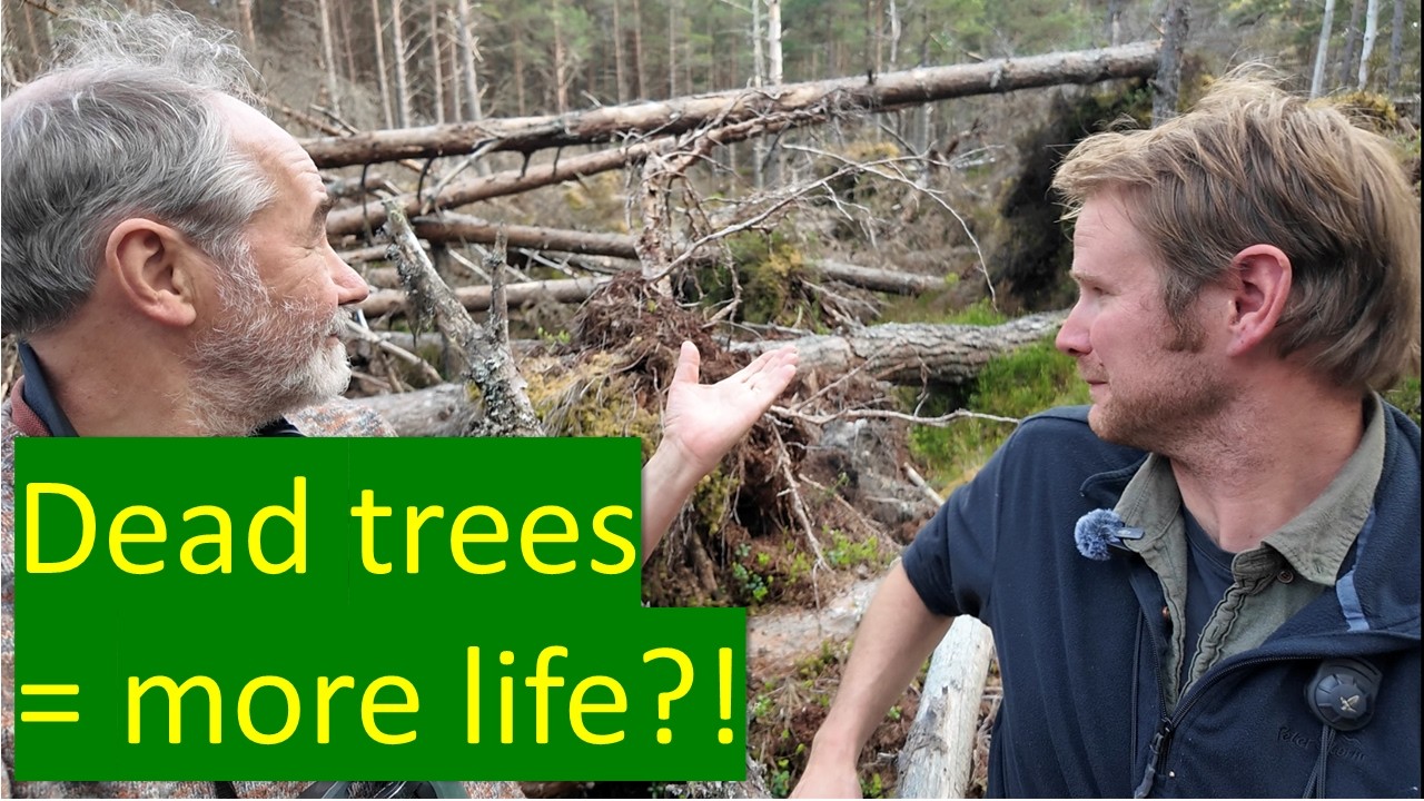 Role of disturbance in forests: lessons creating deadwood