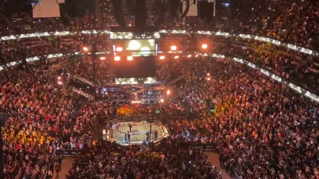 UFC 298: Alexander 