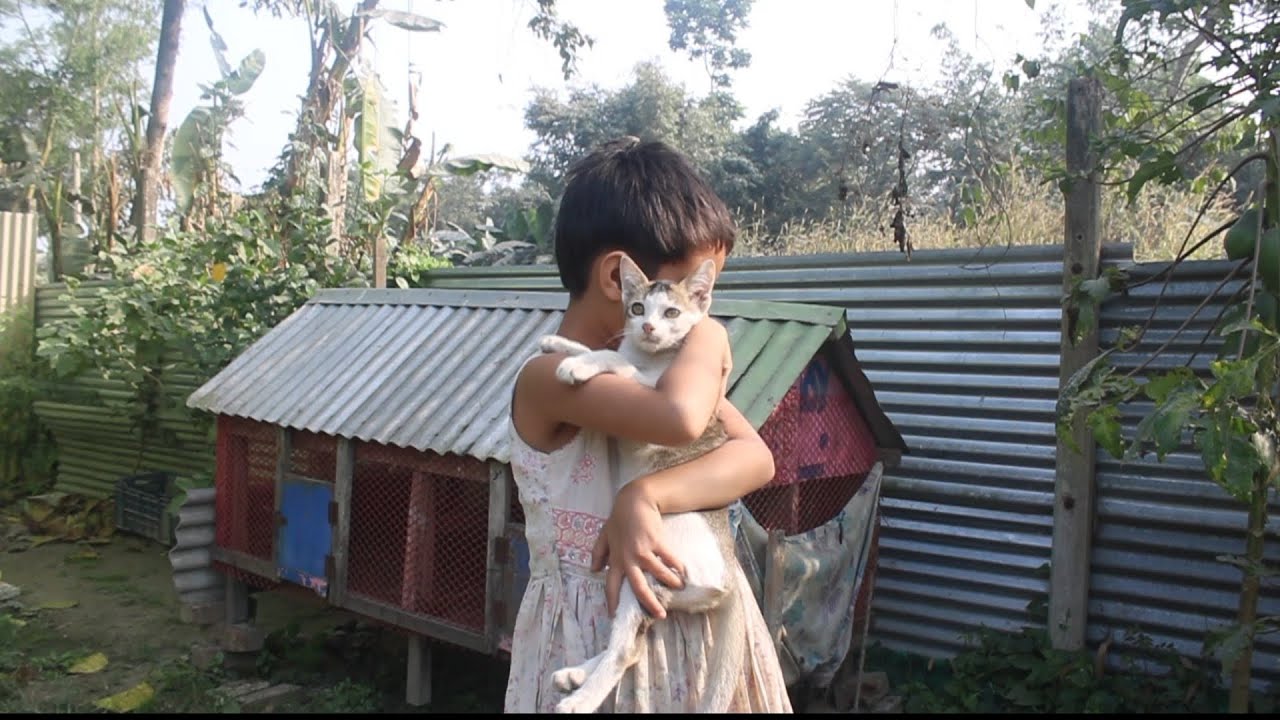 আল্লাহ চাইলে সবই সম্ভব 🥰 । SAIMON Life Vlogs 