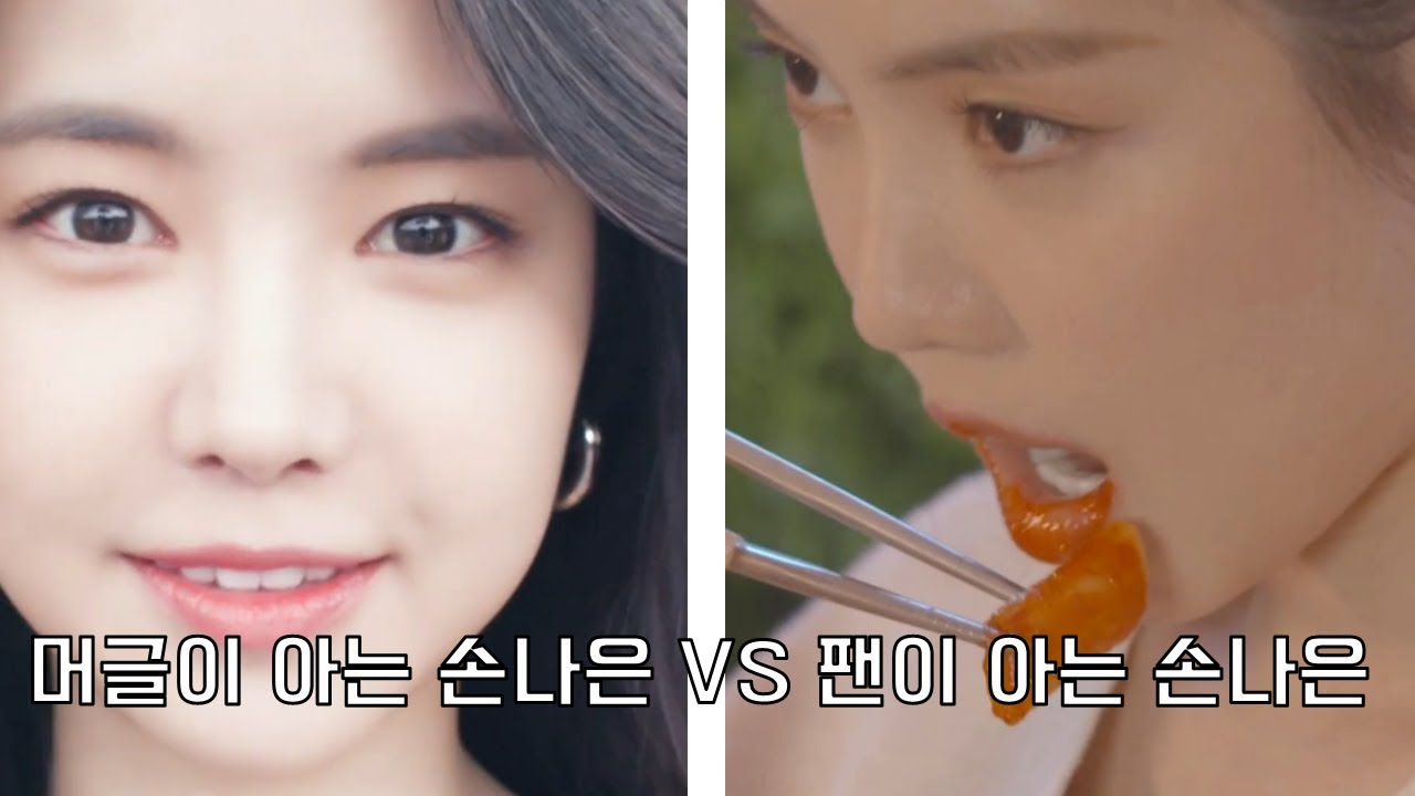 머글이 아는 손나은 VS 팬이 아는 손나은