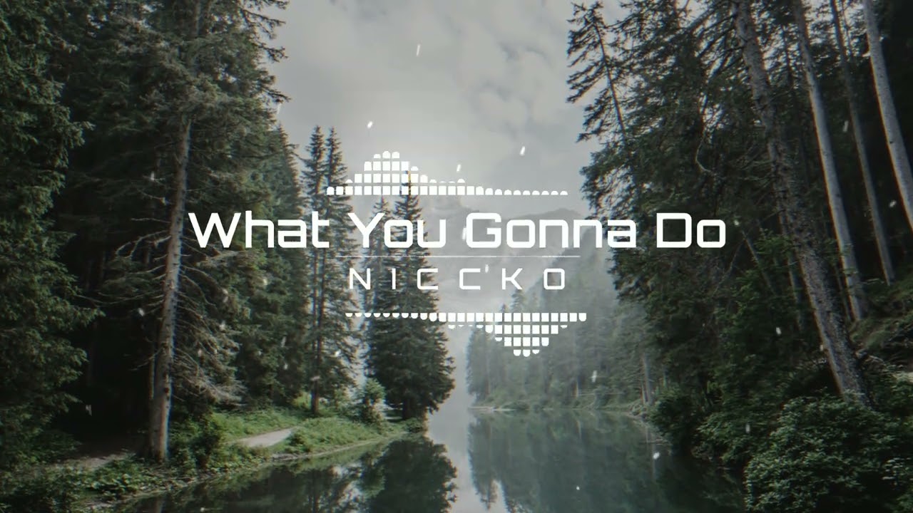 NICCKO - What You Gonna Do