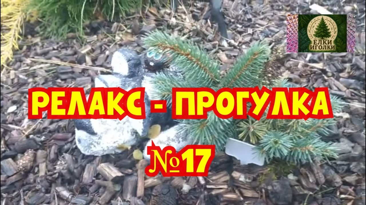 Топ 5 самых смешных анекдотов от звёзд юмора [6]+ Релакс premium-класса I Релакс-канал 