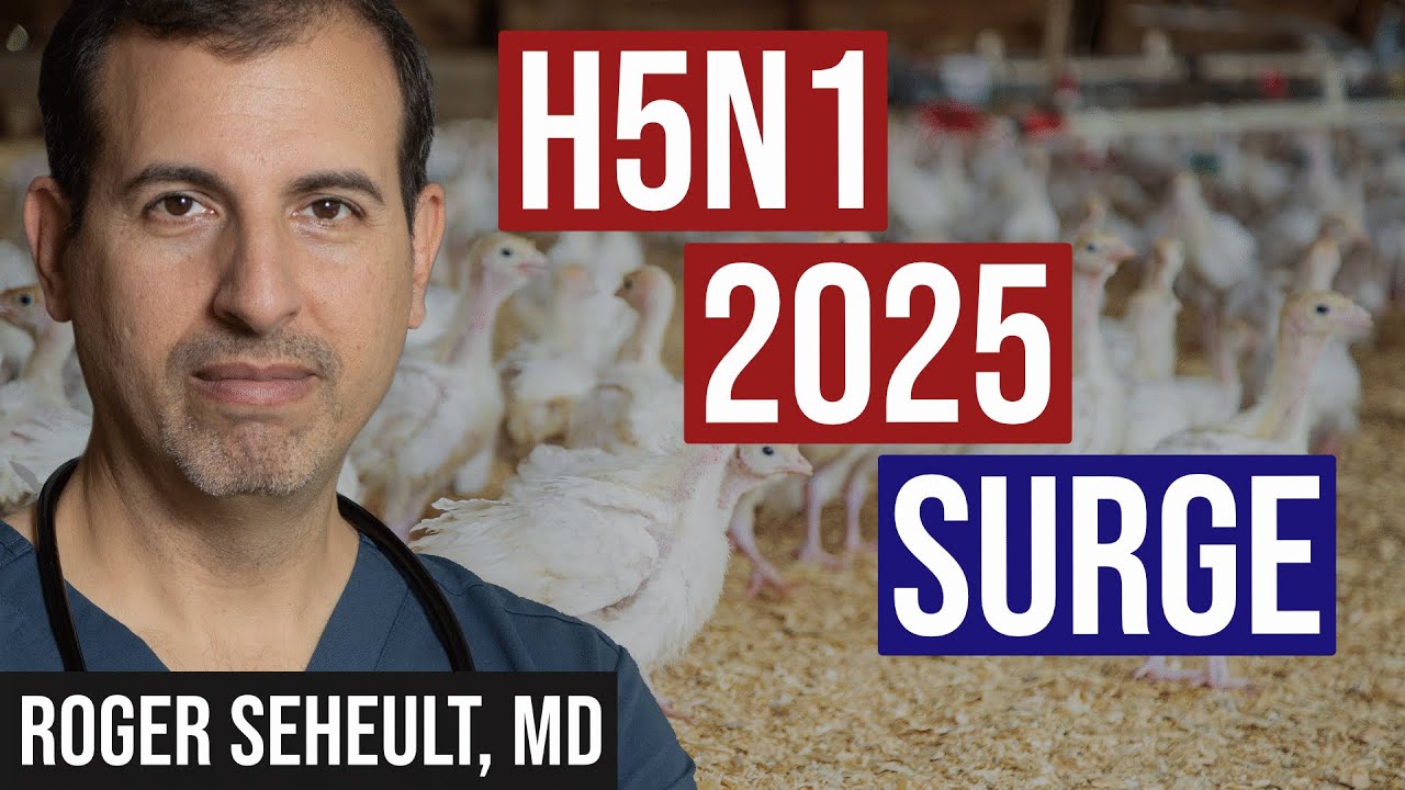 H5N1 2025 Surge