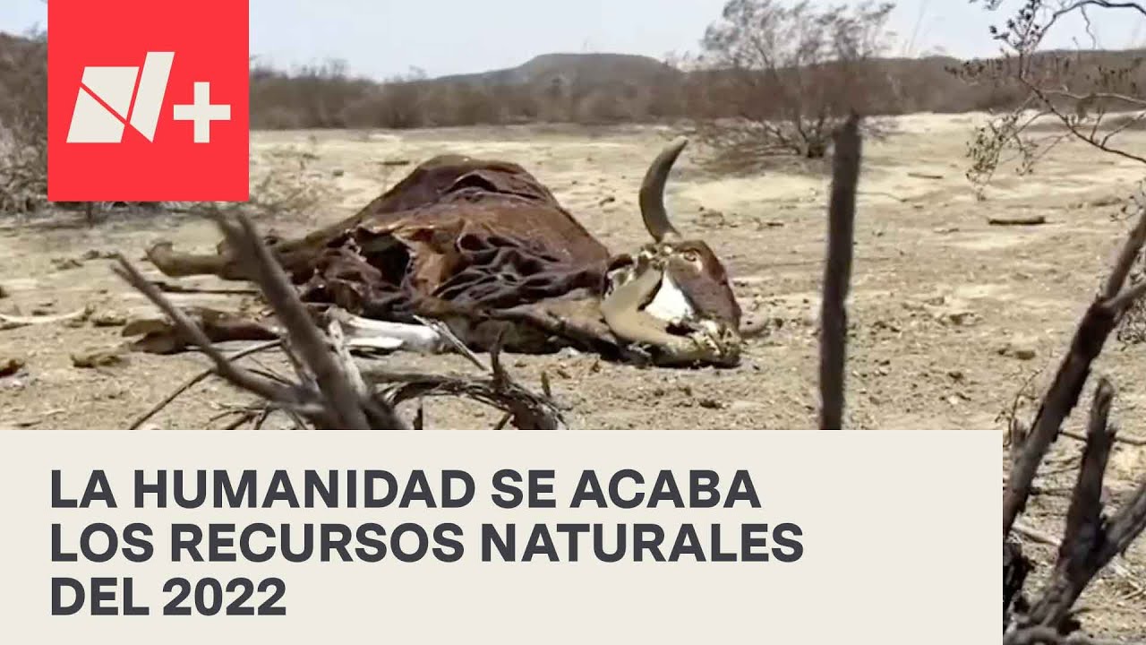 El mundo entra en n&uacute;meros rojos de recursos naturales - En Punto