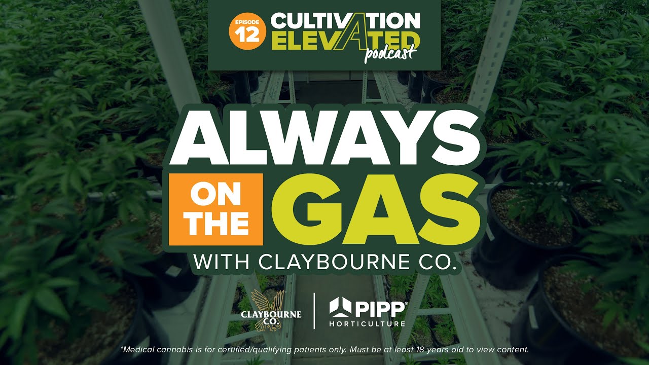 Claybourne Co. - Always on the Gass