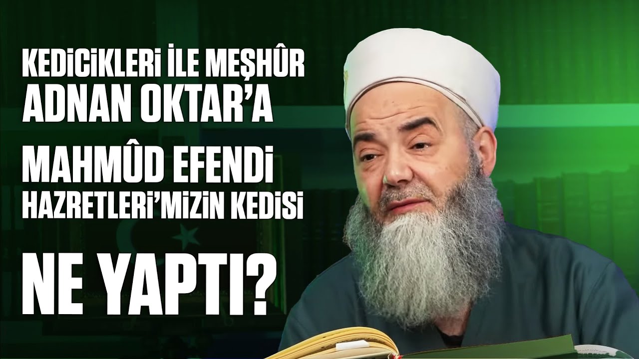 Kedicikleri İle Meşhûr Adnan Oktar’a Mahmûd Efendi Hazretleri’mizin Kedisi Ne Yaptı?