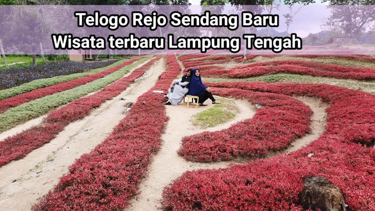 Vlog Telogo Rejo Sendang Baru Ketika Masih Populer Tahun 2020