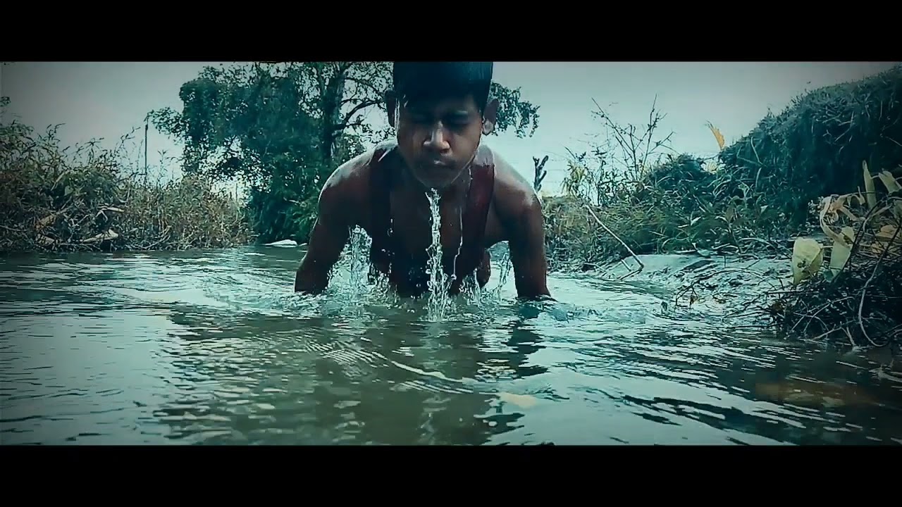 The Lion King Simba | Shah Rukh Khan | Hebol | Hebo cli