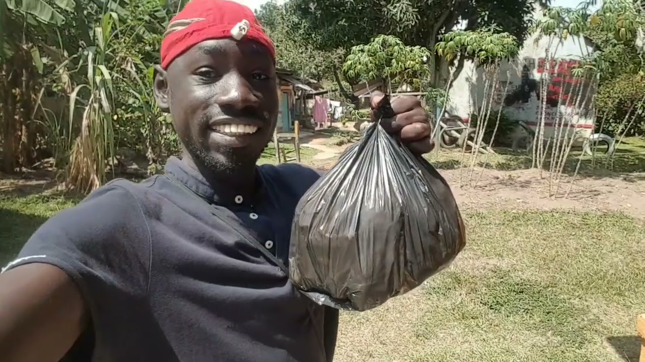 MORNING SHOPPING WITH MICHAEL  IN ENTEBBE CENTRAL MARKET  UGANDA#entebbe market #africa
