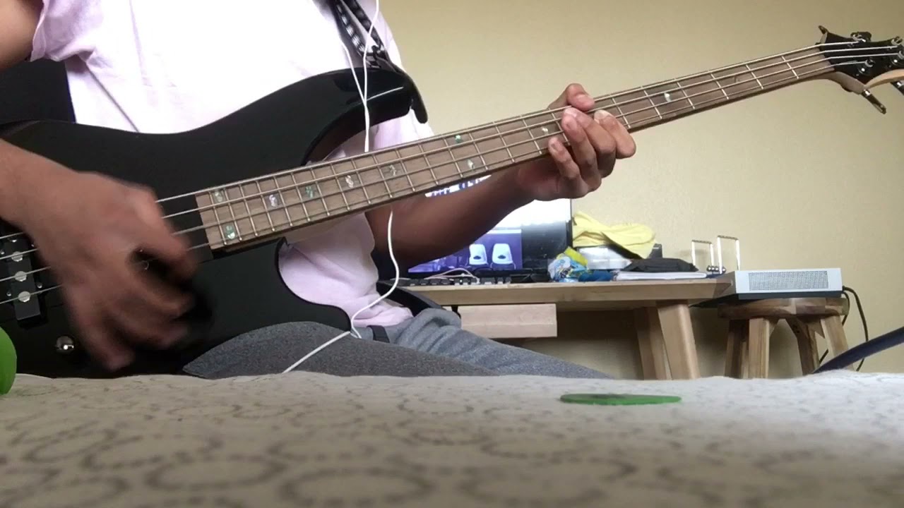 Diane - Hüsker Du (Bass Cover)