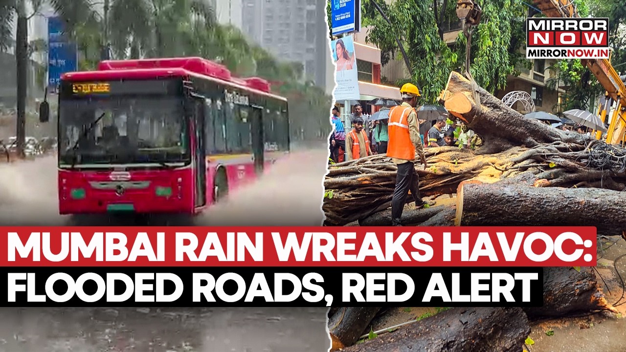 Mumbai Rain Wreaks Havoc: Flooded Roads, Walls Collapsed, Trees Uprooted, IMD Issues Red Alert