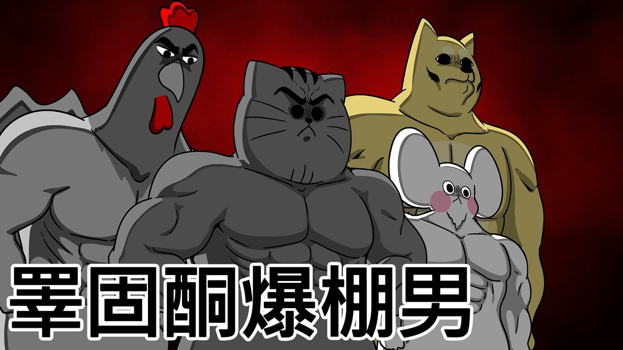 [禽獸朋友們] 成為睾酮男的方法
