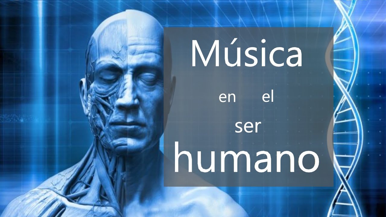 📓📖El LIBRO que TODO MUSIC&Oacute;LOGO debe leer: Hay m&uacute;sica en el hombre | John Blacking