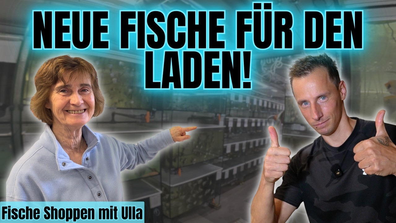 Zierfischgroßhandel: Fische shoppen mit Ulla – schöne Fische dabei!