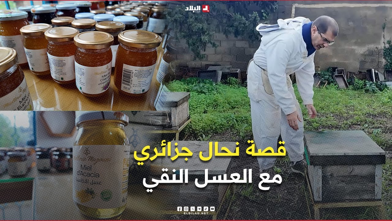 روبورتاج| حين تتحول الطبيعة إلى دواء.. قصة نحال جزائري مع العسل النقي