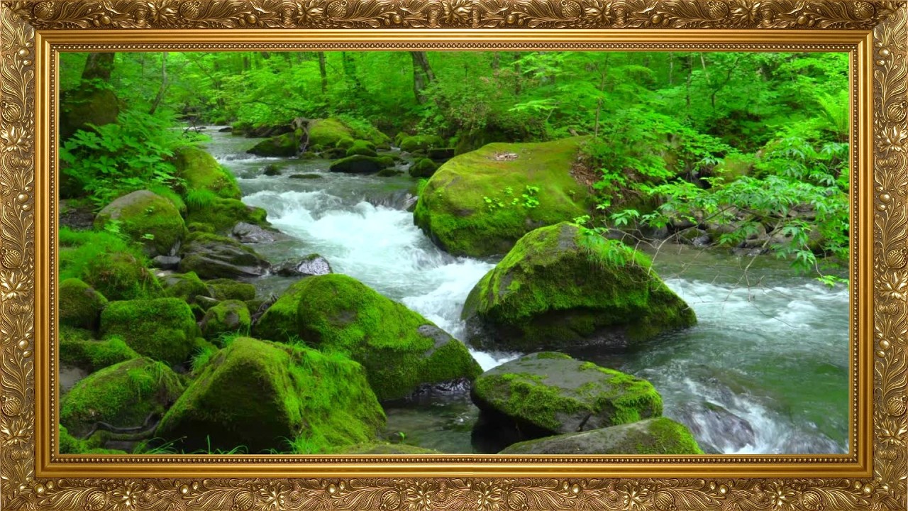 🌿 6 Hours Peaceful Forest Stream | Animated Nature Sounds for Sleep, Relaxation & FocusNew Project