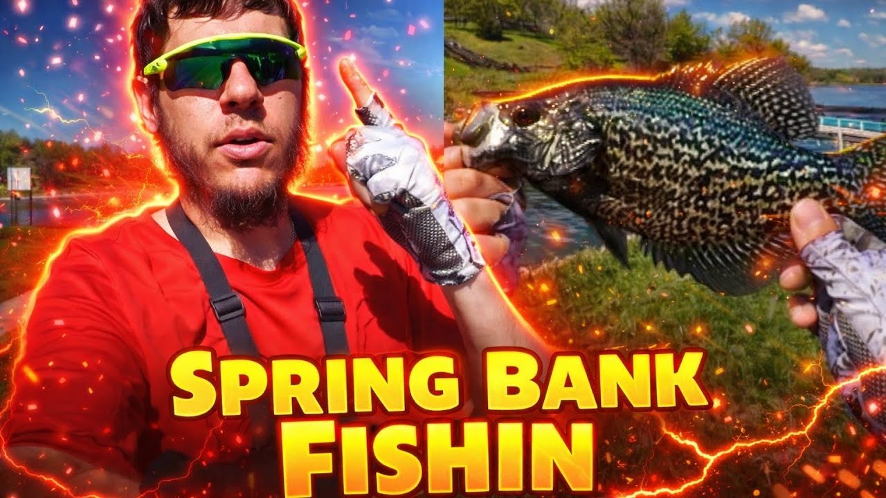 Multi-Species FISHING Session