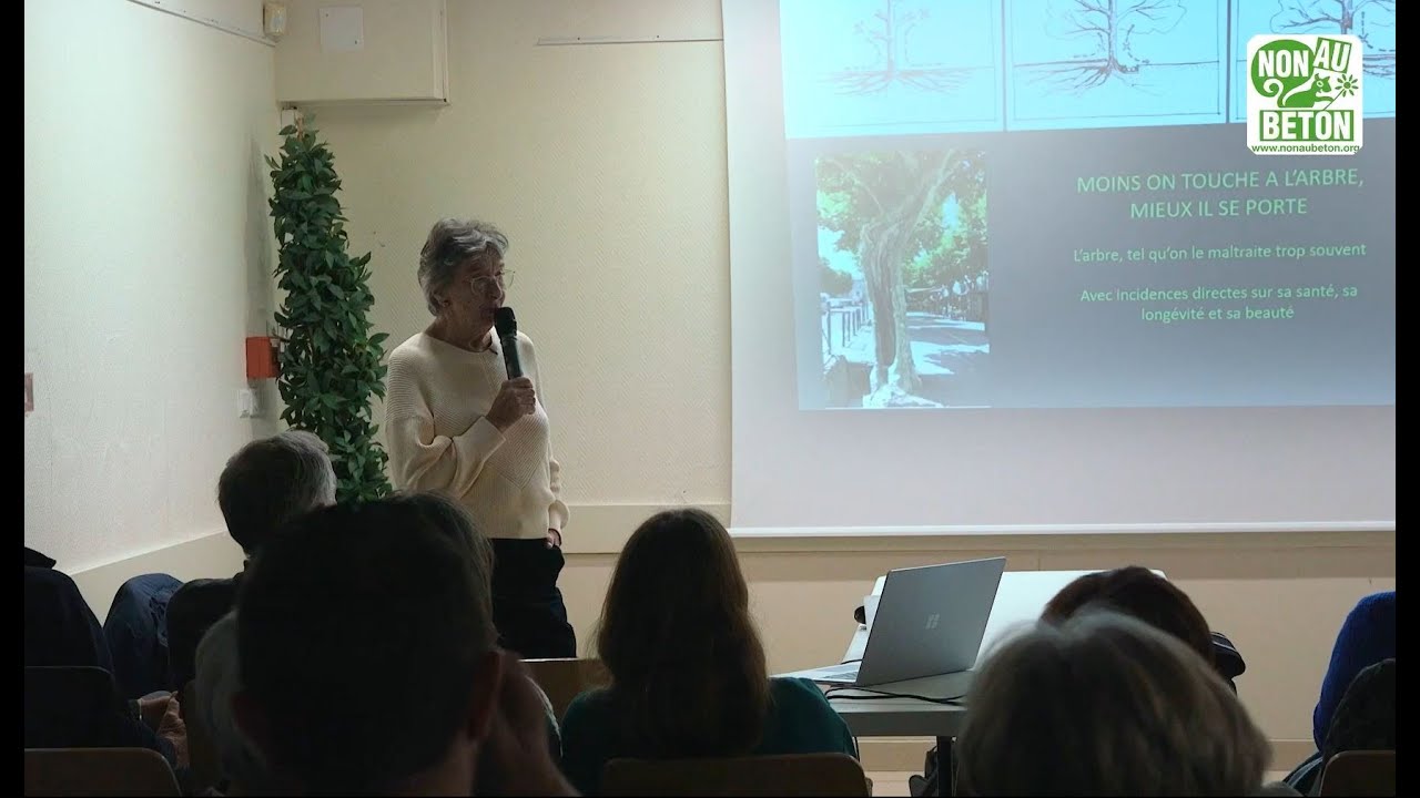 Conférence de Caroline Mollie: 