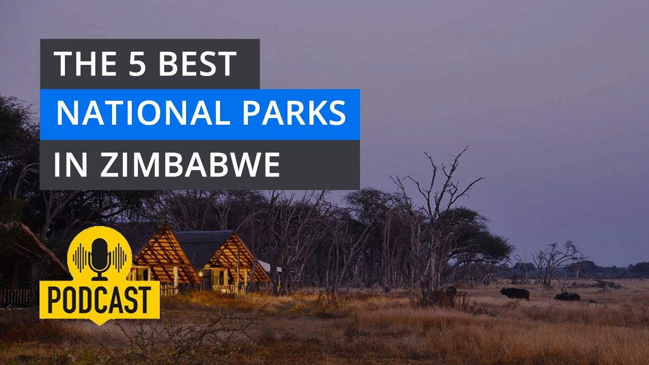 The 5 Best National Parks In Zimbabwe |  AI Deep Dive  | Byolife Podcast