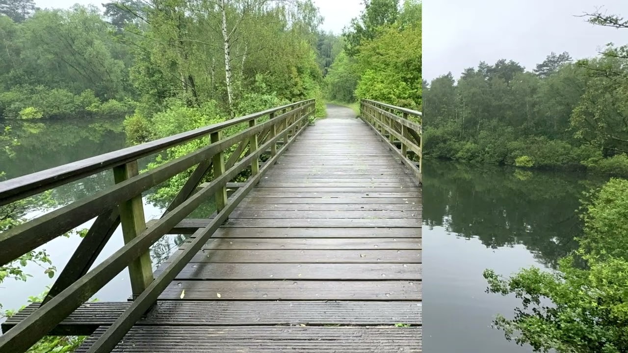 Heidesee - Kirchheller Heide (21. Juni 2024)