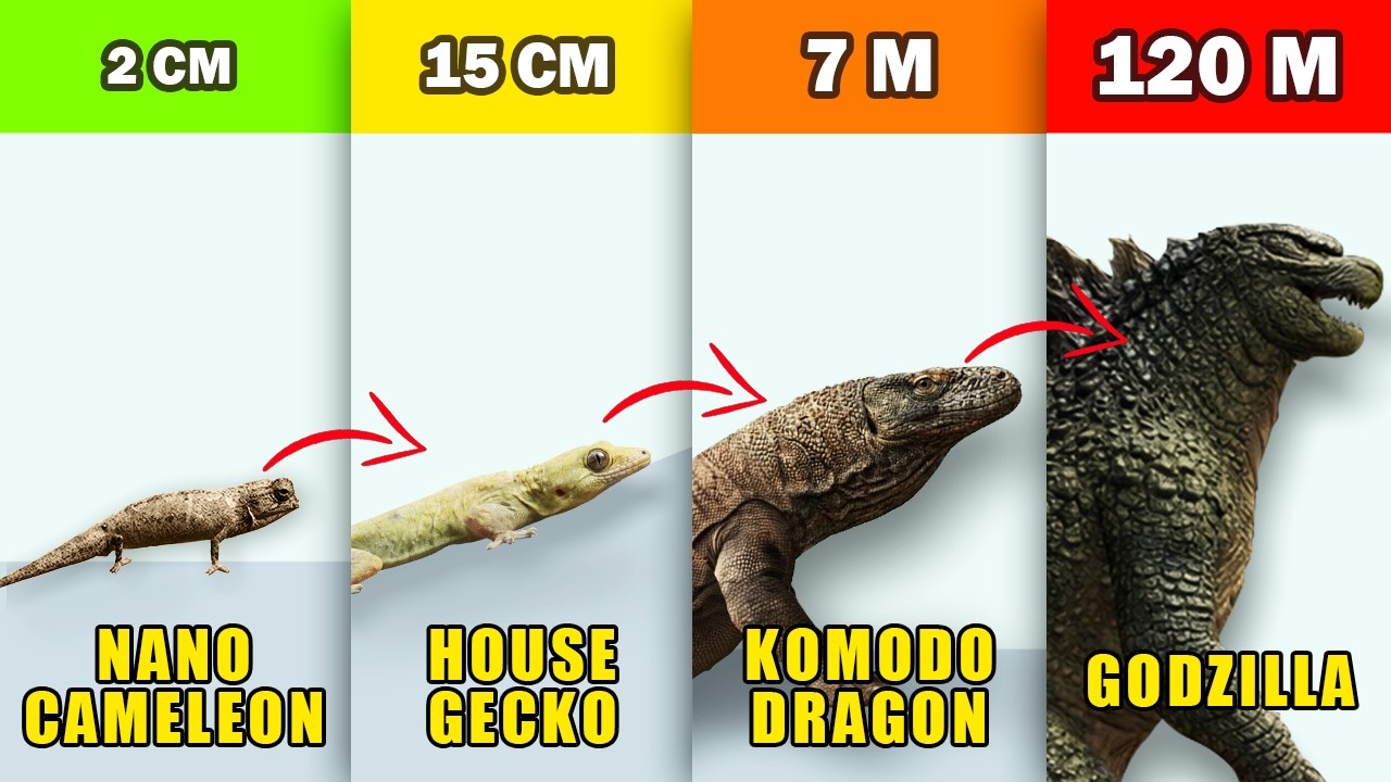 7 Lizard Size Level Ranked, Ending With Godzilla