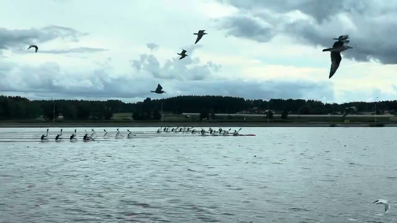 2023 к4 500m.final.Кубок РБ ll часть.