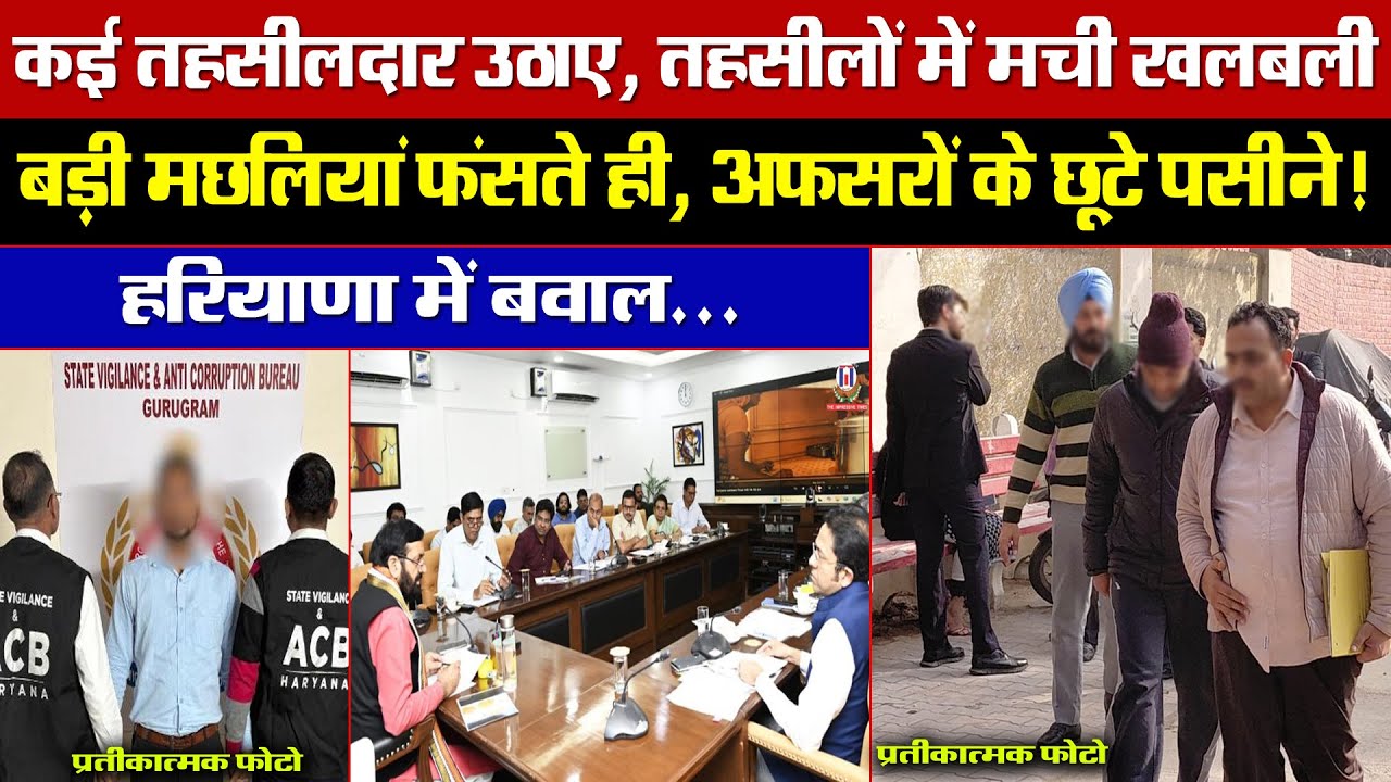 कई तहसीलदार उठाए, तहसीलों में मची खलबली! बड़ी मछलियां फंसते ही, अफसरों के छूटे पसीने! मचा बवाल!