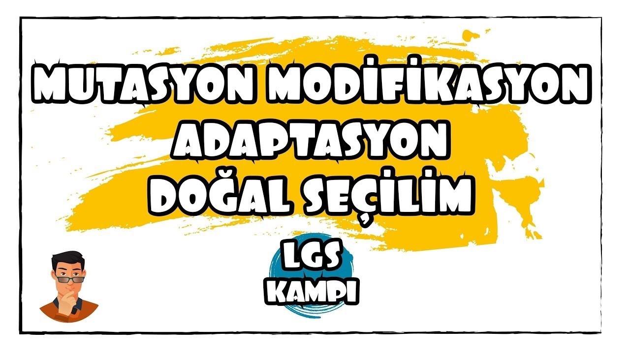 Mutasyon Modifikasyon Adaptasyon / LGS Kampı