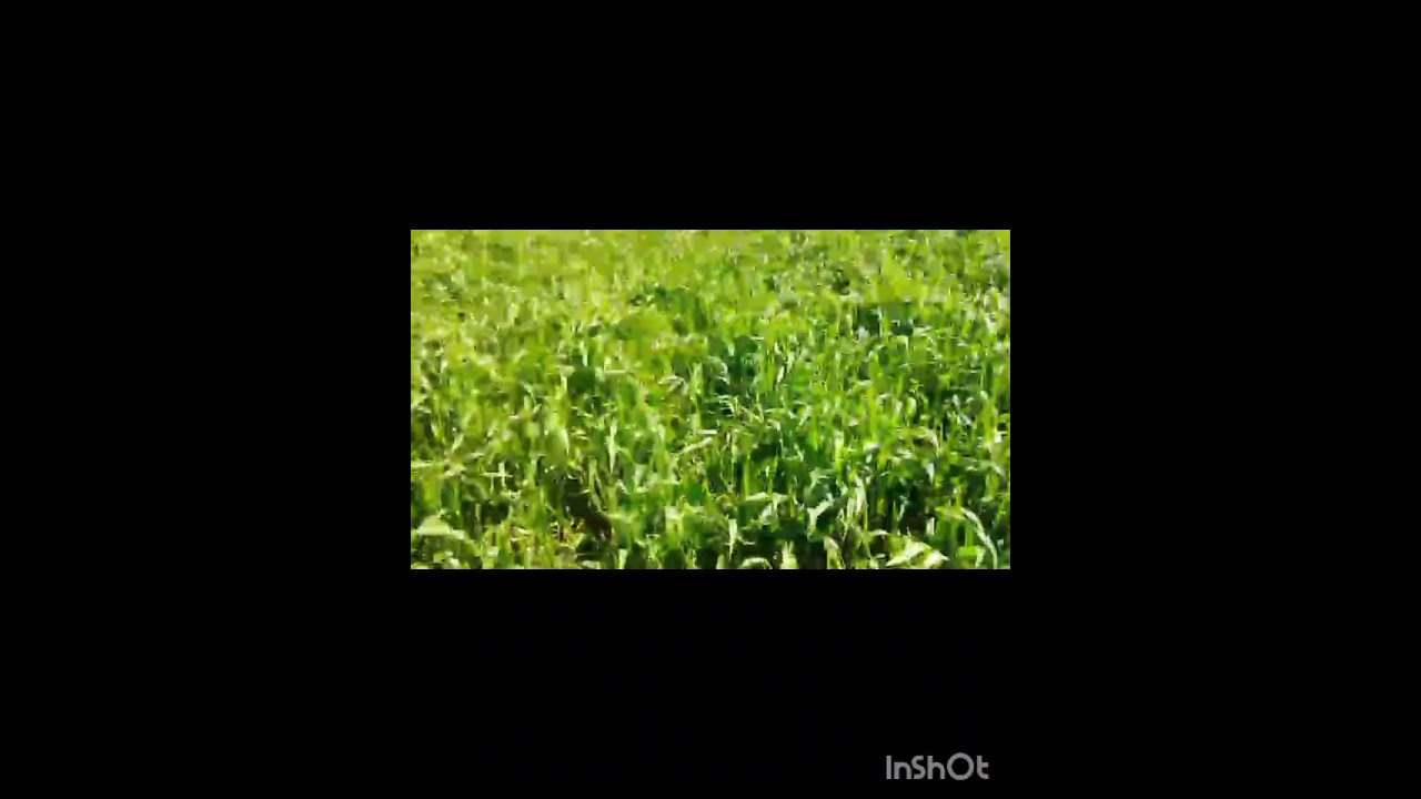 ارض فلاحية 3 هكثارات و 7500 متر باولاد سعيد عمالة  سطات ، ب12 مليون للهكثار ☎️  0603838565 .