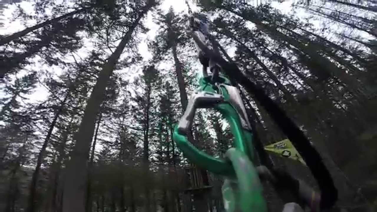 GoApe Adventure Peebles