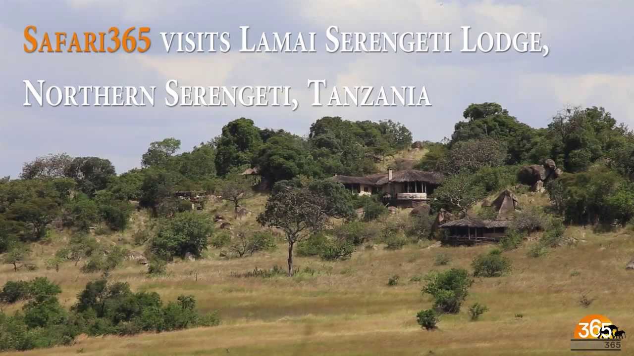 Lamai Serengeti Lodge, Tanzania | Safari365