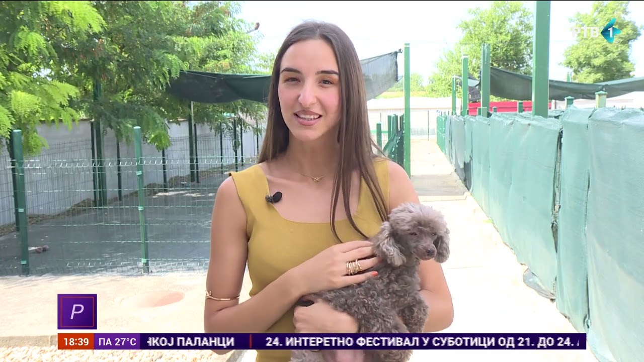 Hoteli za pse