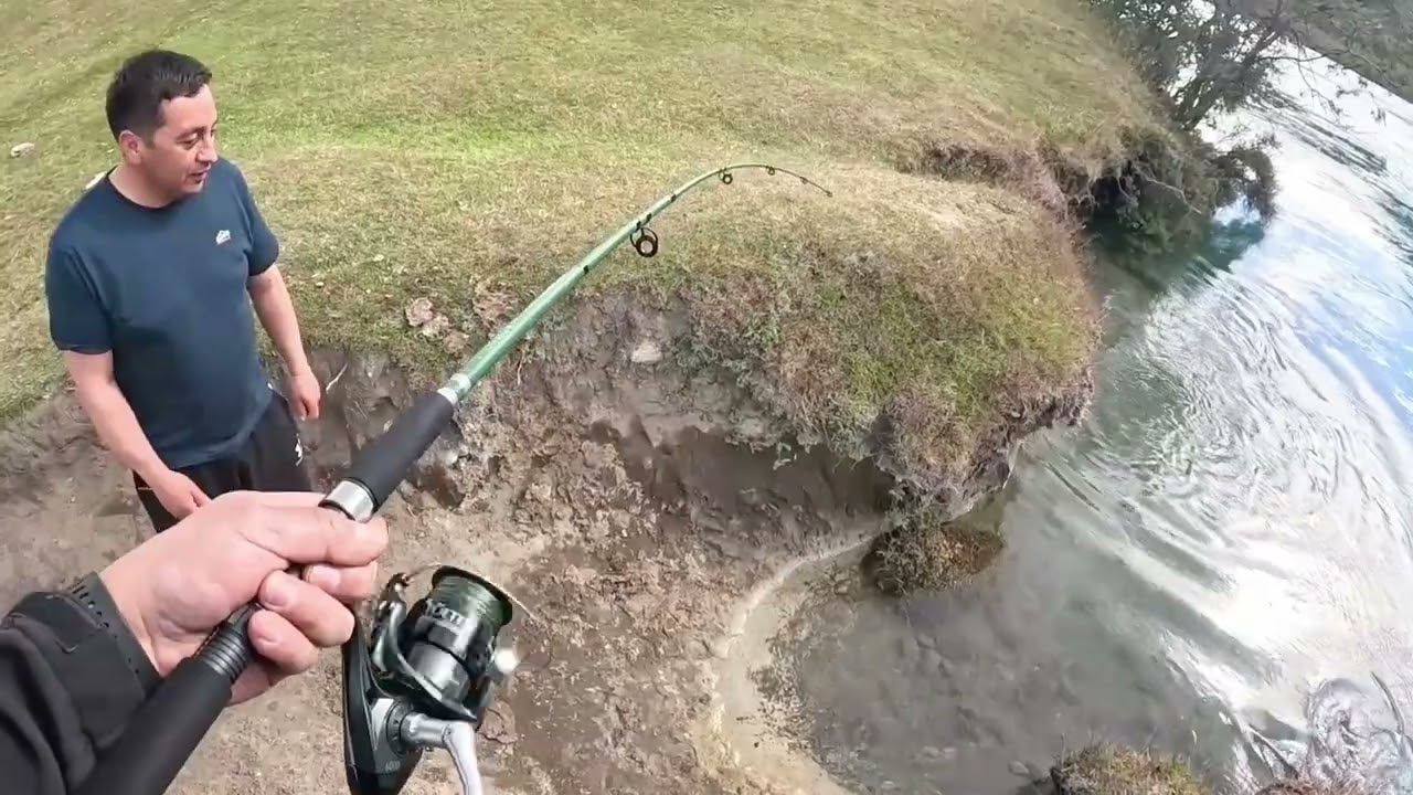 Trucha Migratoria 7 kg, Río Serrano, Región de Magallanes