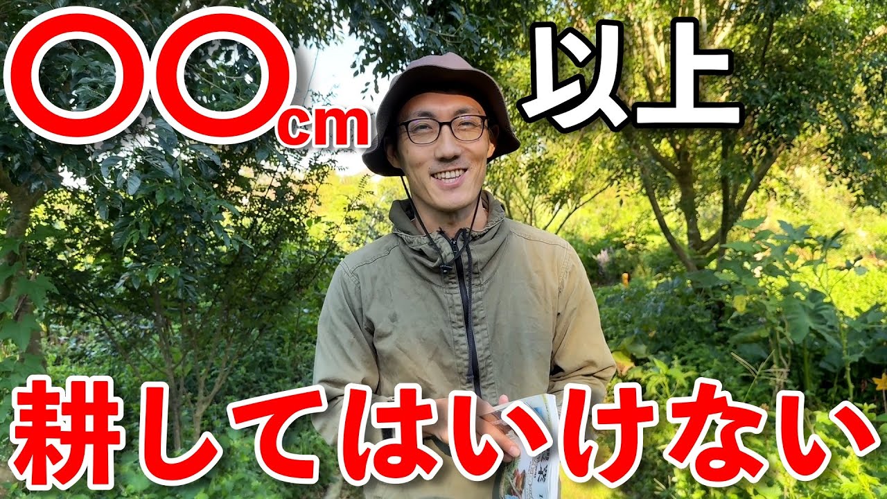 共生菌を増やす３つの条件とは！？現代農業の菌根菌特集が面白い！