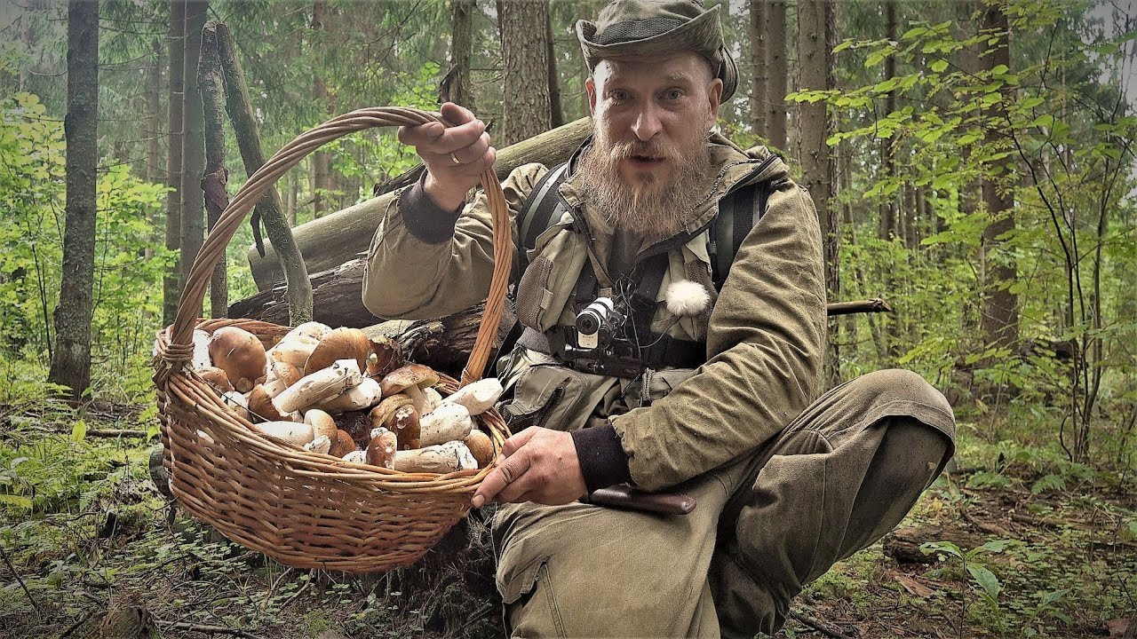 Белые Грибы Пошли! Поход в лес! Тихая Охота В Разгаре! Леший знает...)